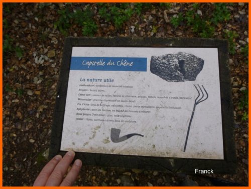 Cliquer pour voir l'image en taille réelle