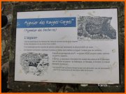 141208_Franck17i.jpg