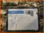 141208_Franck8i.jpg