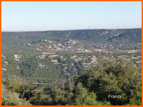 Cliquer pour voir l'image en taille réelle