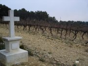 140206_dd-9.jpg