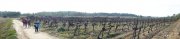 140206_panoramique.jpg