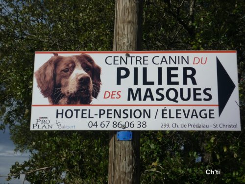 Cliquer pour voir l'image en taille réelle