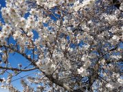 140220_dd7.jpg