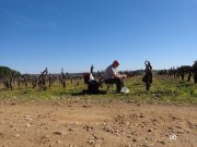 140220_dd8.jpg