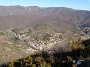 140223_dd1.jpg