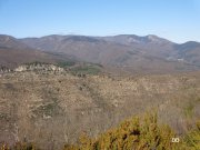 140223_dd11.jpg