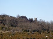 140223_dd5.jpg