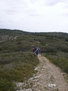 140228_chti13.jpg
