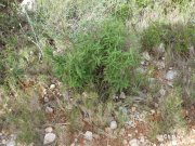 140228_chti6.jpg