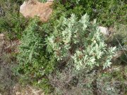 140228_chti7.jpg