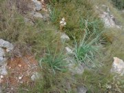 140228_dd1.jpg