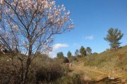 140303_tex10.jpg