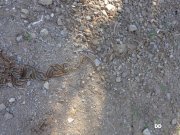 140309_DD12.jpg