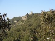 140309_DD2.jpg