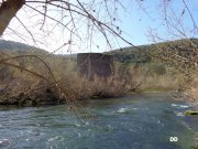 140309_DD4.jpg