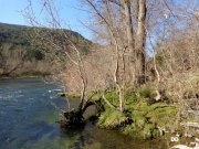140309_DD5.jpg