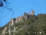 140309_DD7.jpg