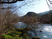 140309_Joss1.JPG