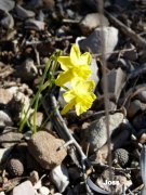 140309_Joss16.JPG