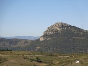140317_dd6.JPG