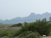 140320_joss5.JPG