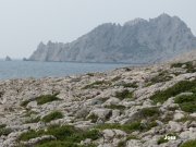 140320_joss7.JPG