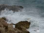 140321_joss17.JPG