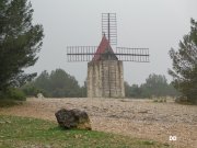 140323_dd51.JPG