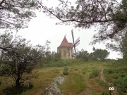 140323_dd52.JPG