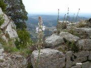 140331_joss10.JPG