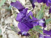 140331_joss15.JPG