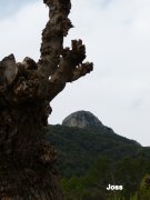 140331_joss3.JPG