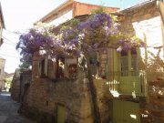 140414_tex2.jpg