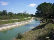 140417_chti1.JPG
