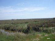 140424_chti7.JPG