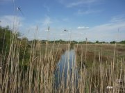 140424_chti8.JPG