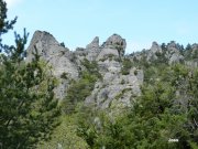 140428_joss22.JPG
