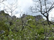 140428_joss23.JPG