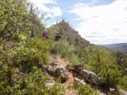 140428_tex9.JPG
