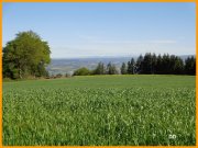 140523_DD-1.jpg