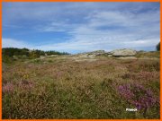 140919_Franck32.jpg