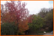 141027_Tex5i.JPG