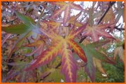141027_Tex6i.JPG