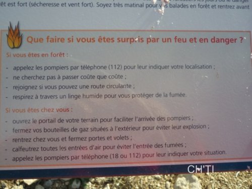 Cliquer pour voir l'image en taille réelle
