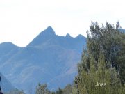 131125_joss854.jpg