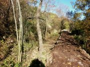 131129_nella17.jpg