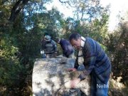 131129_nella23.jpg