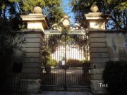 131209_tex-9.jpg