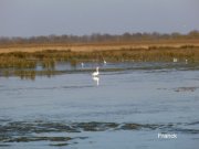 131215_fw027.jpg